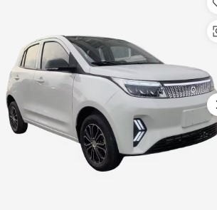 Auto Mini Electric Vehicle